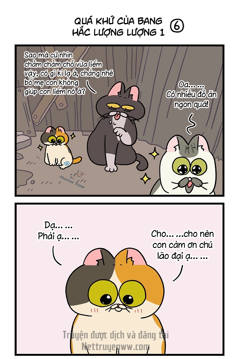 A Mãn Và Mạch Trà: Chapter 50.5