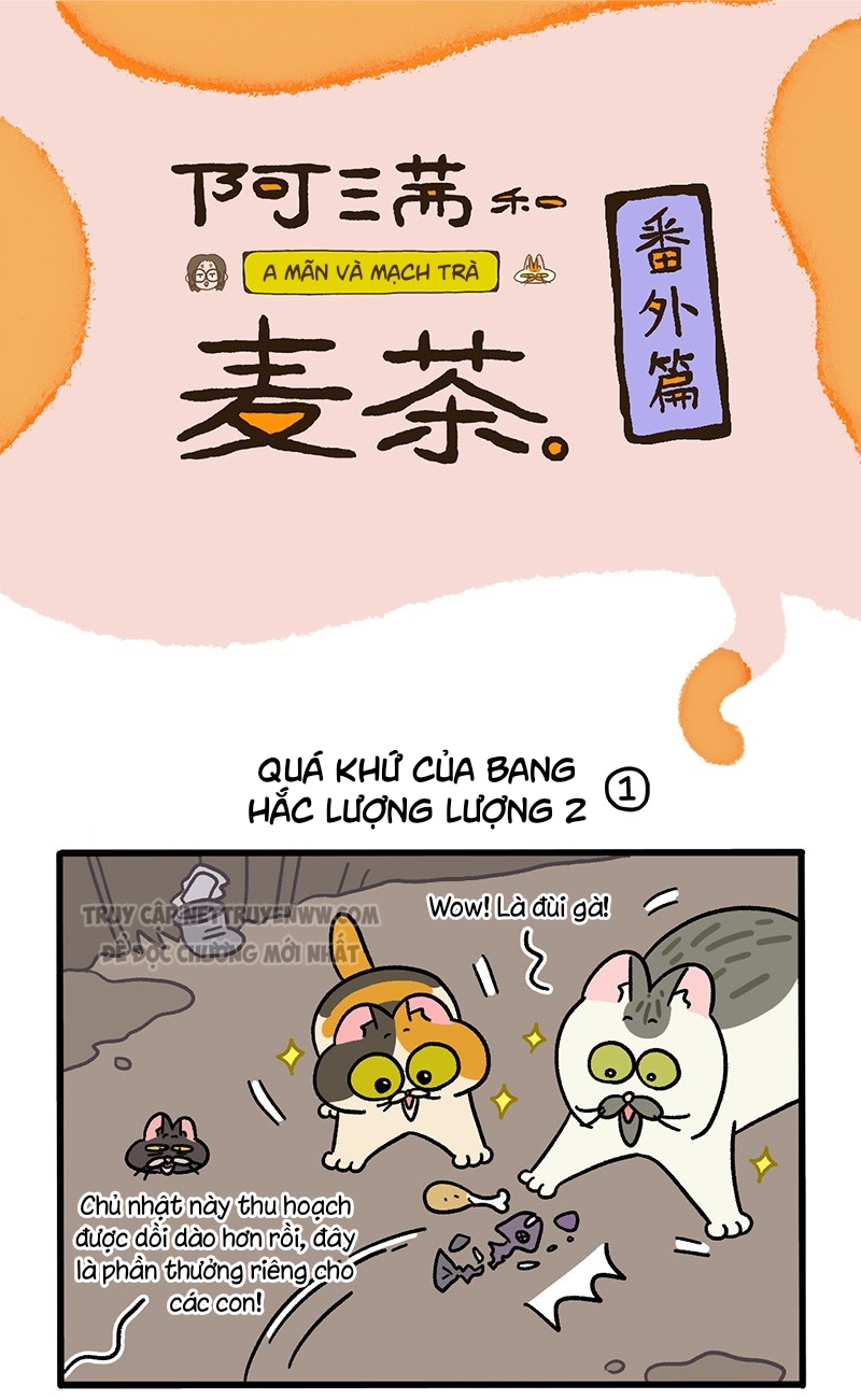 A Mãn Và Mạch Trà: Chapter 50.6