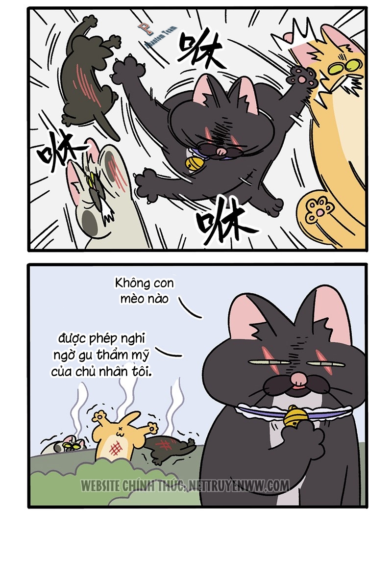 A Mãn Và Mạch Trà: Chapter 50.8
