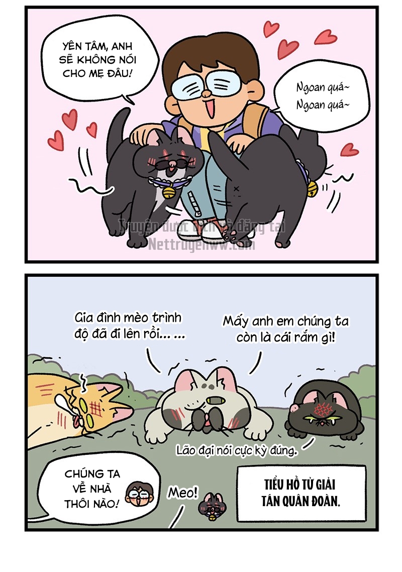A Mãn Và Mạch Trà: Chapter 50.8