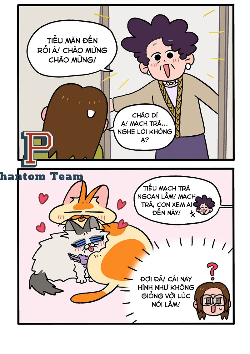 A Mãn Và Mạch Trà: Chapter 50