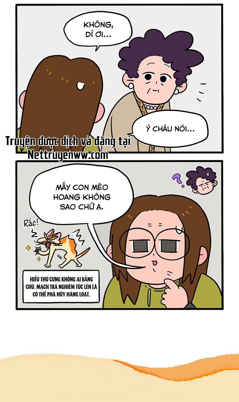 A Mãn Và Mạch Trà: Chapter 50