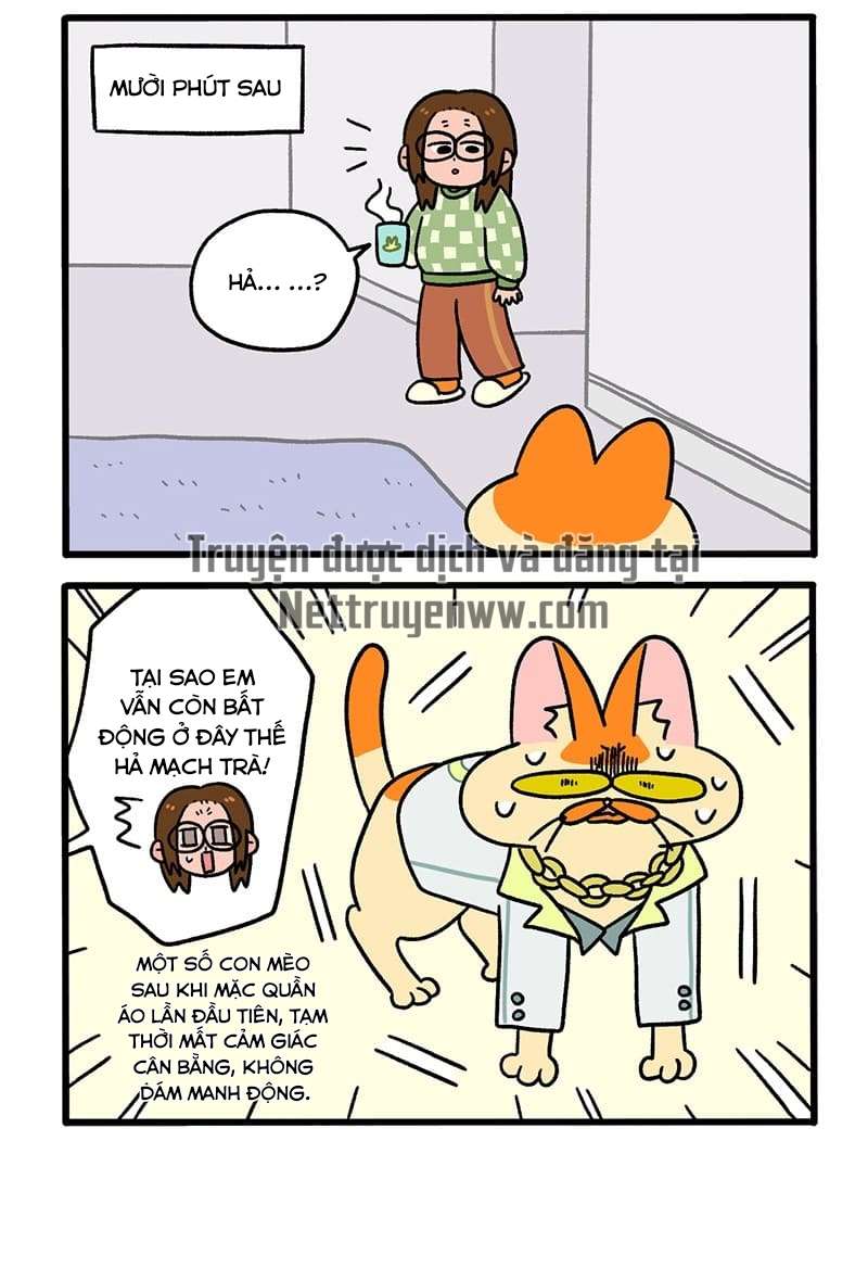 A Mãn Và Mạch Trà: Chapter 51