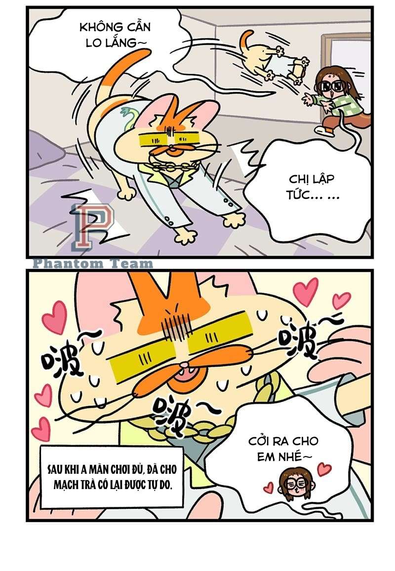A Mãn Và Mạch Trà: Chapter 51