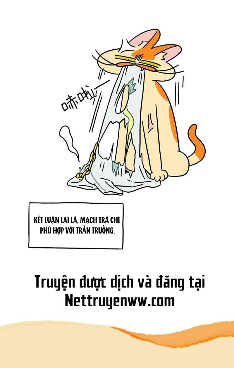 A Mãn Và Mạch Trà: Chapter 51