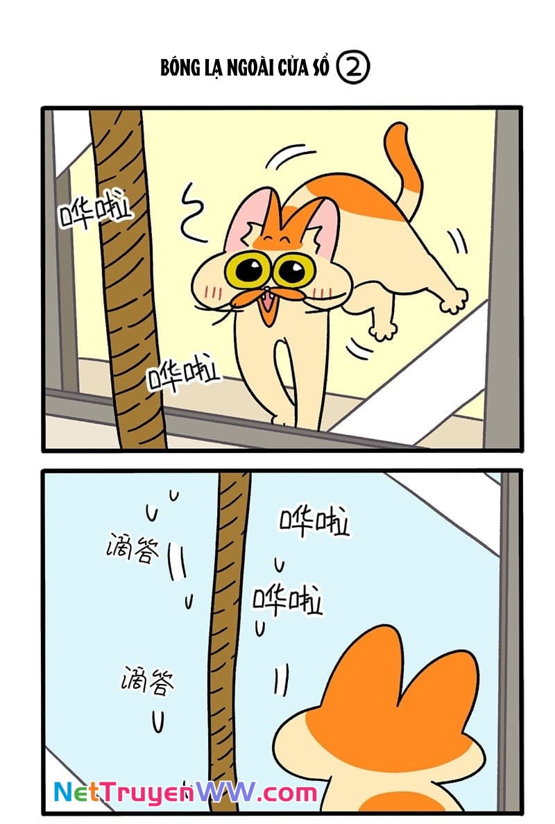 A Mãn Và Mạch Trà: Chapter 54