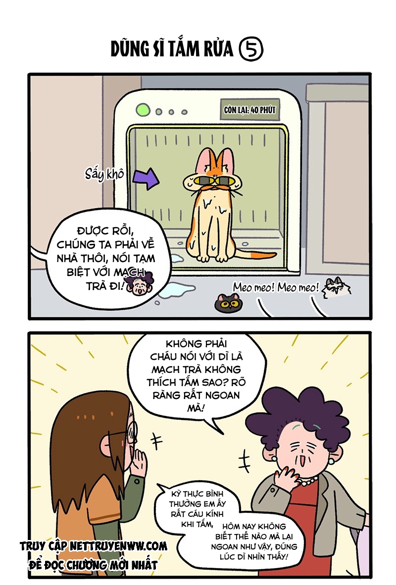 A Mãn Và Mạch Trà: Chapter 56.1