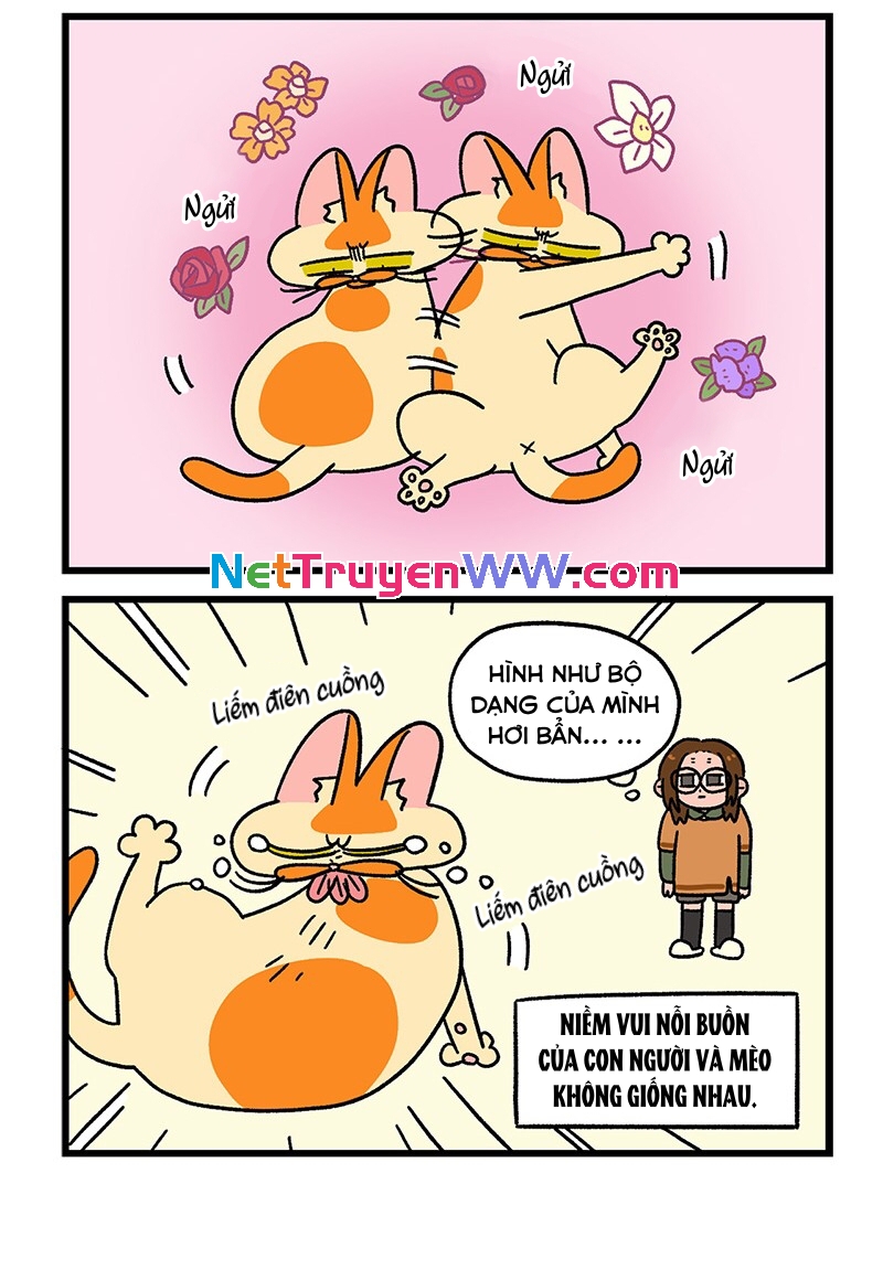 A Mãn Và Mạch Trà: Chapter 56.1