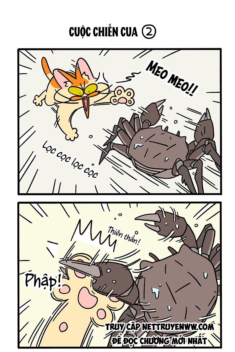 A Mãn Và Mạch Trà: Chapter 58