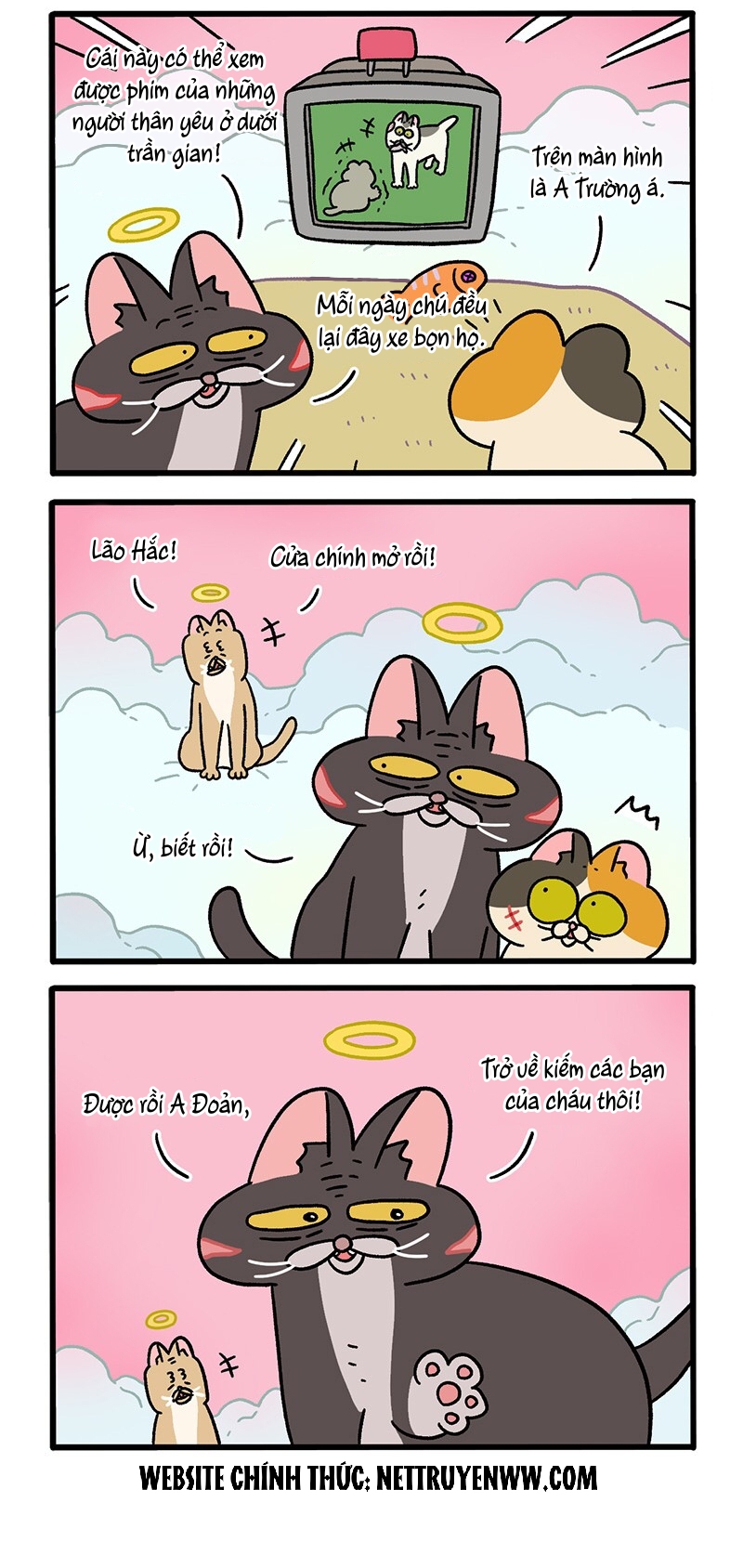 A Mãn Và Mạch Trà: Chapter 59.7