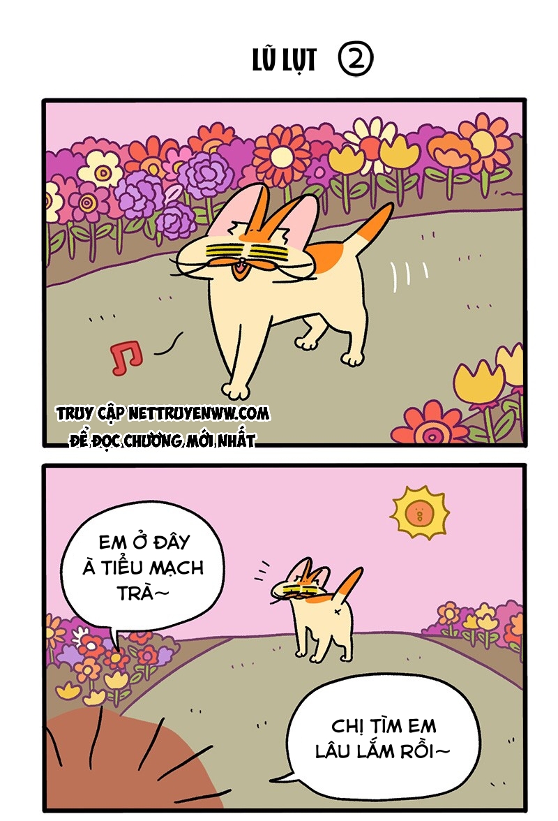 A Mãn Và Mạch Trà: Chapter 61