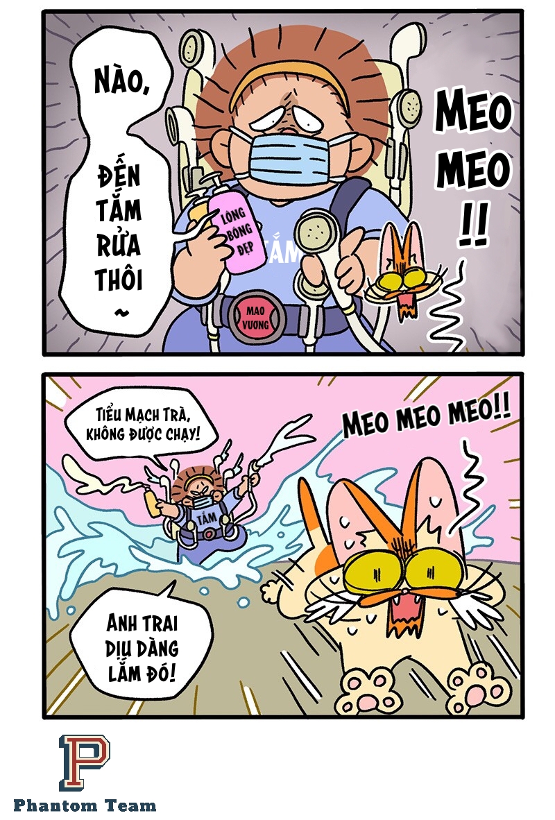 A Mãn Và Mạch Trà: Chapter 61