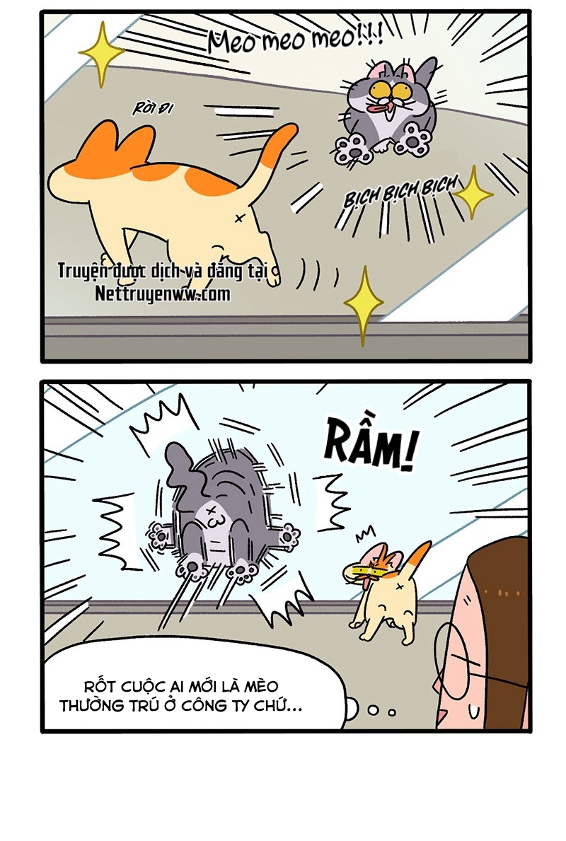 A Mãn Và Mạch Trà: Chapter 63.1