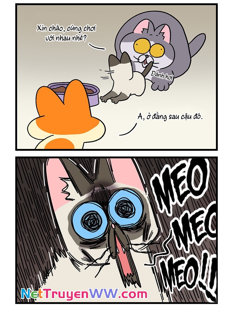 A Mãn Và Mạch Trà: Chapter 66.1