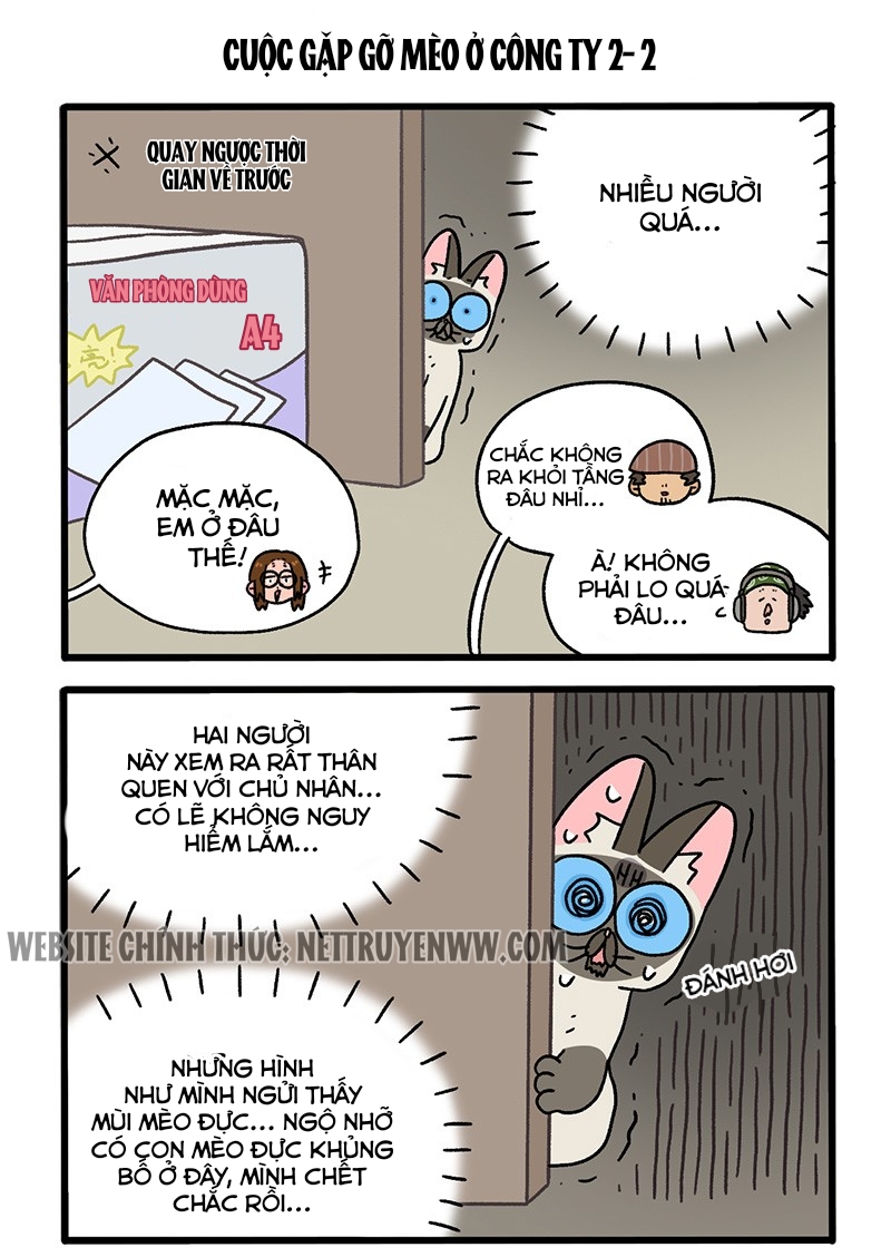 A Mãn Và Mạch Trà: Chapter 66