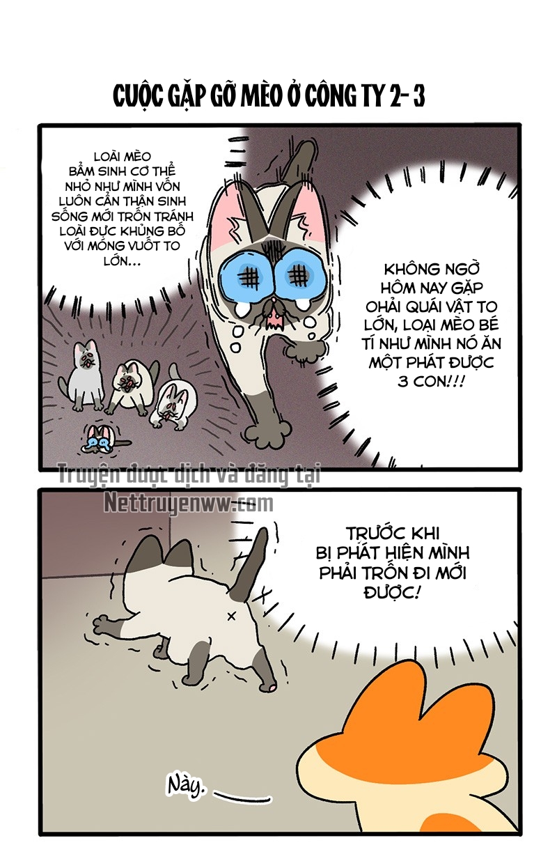 A Mãn Và Mạch Trà: Chapter 66