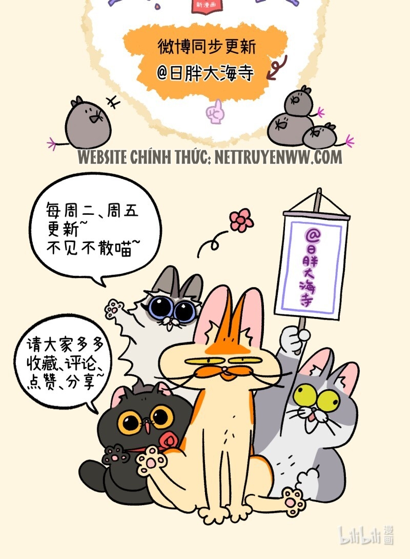 A Mãn Và Mạch Trà: Chapter 66