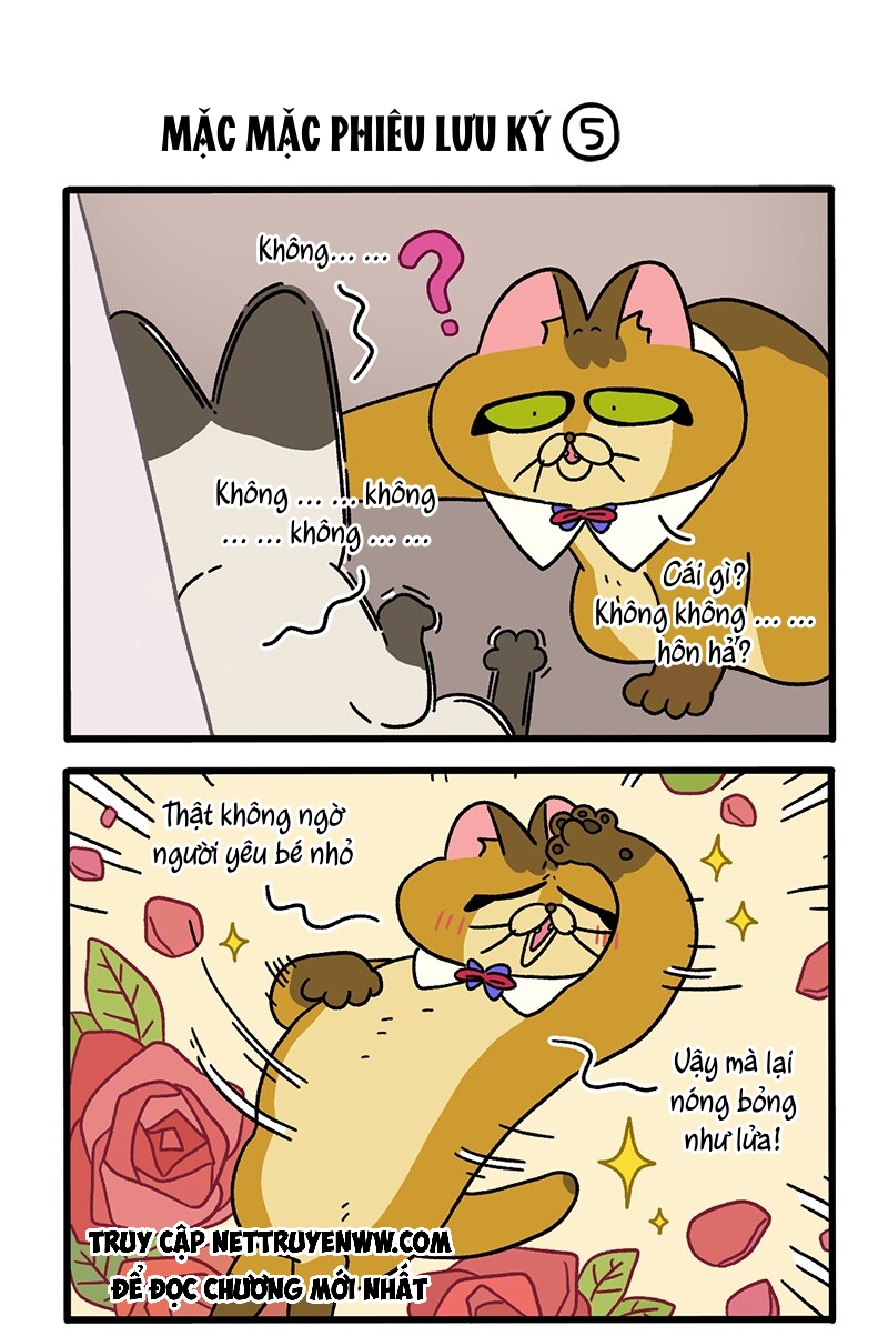 A Mãn Và Mạch Trà: Chapter 67.1