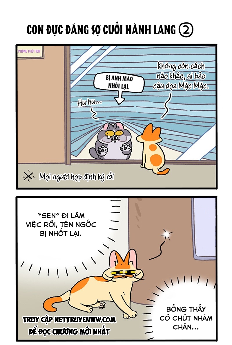 A Mãn Và Mạch Trà: Chapter 68