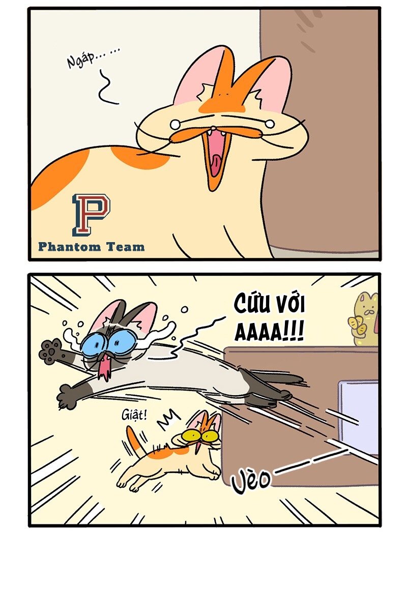 A Mãn Và Mạch Trà: Chapter 68