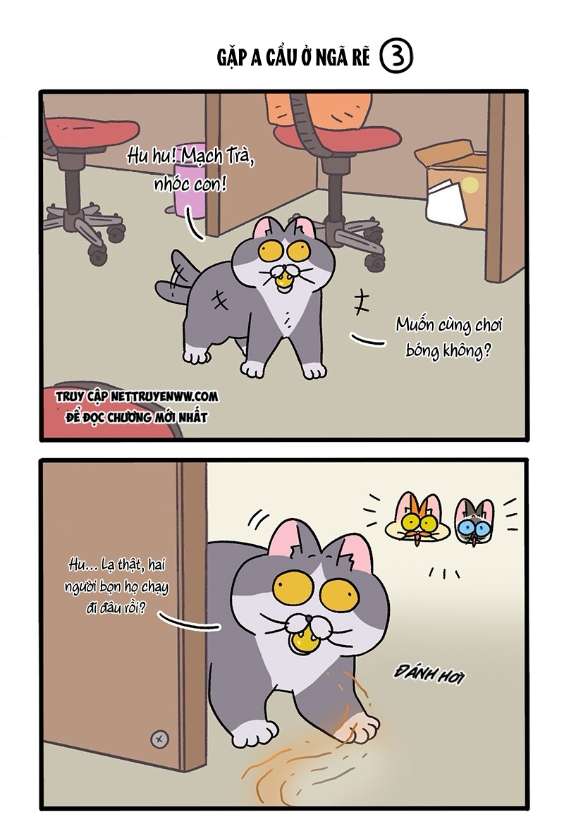 A Mãn Và Mạch Trà: Chapter 70.1