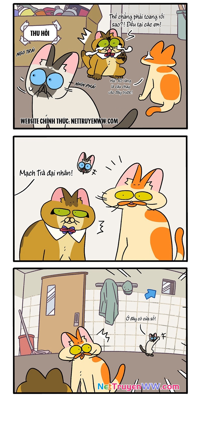 A Mãn Và Mạch Trà: Chapter 70
