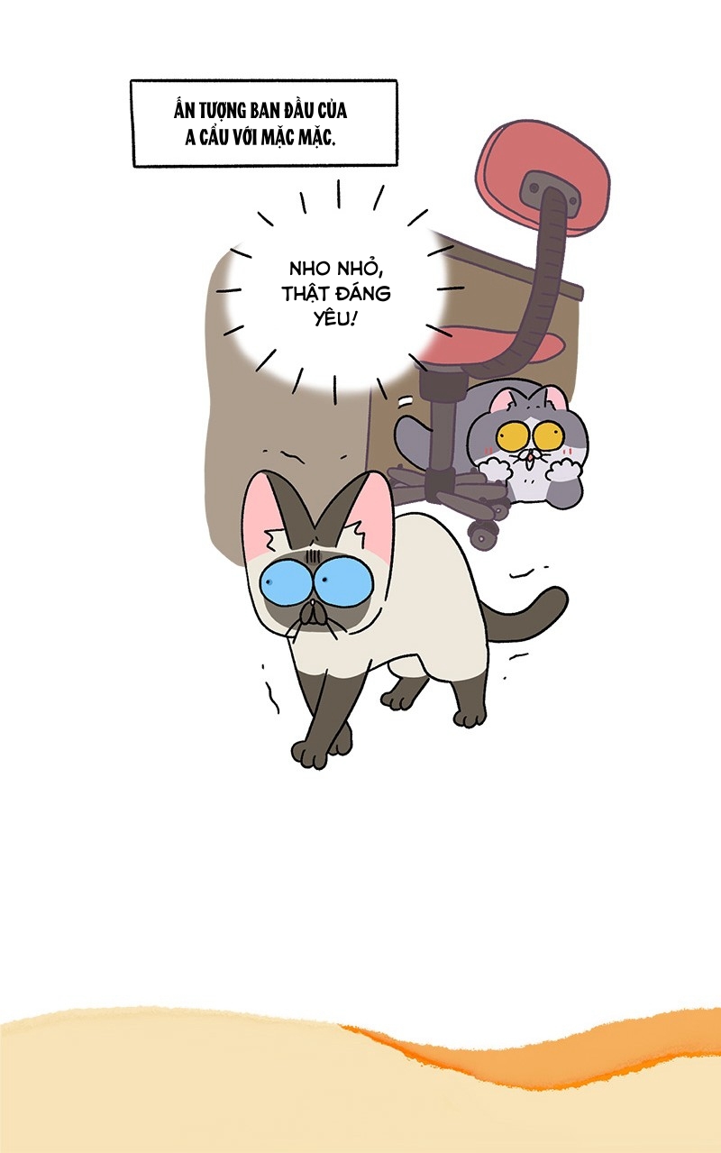 A Mãn Và Mạch Trà: Chapter 71