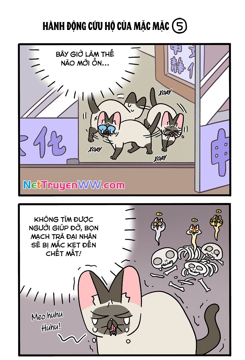 A Mãn Và Mạch Trà: Chapter 72.1