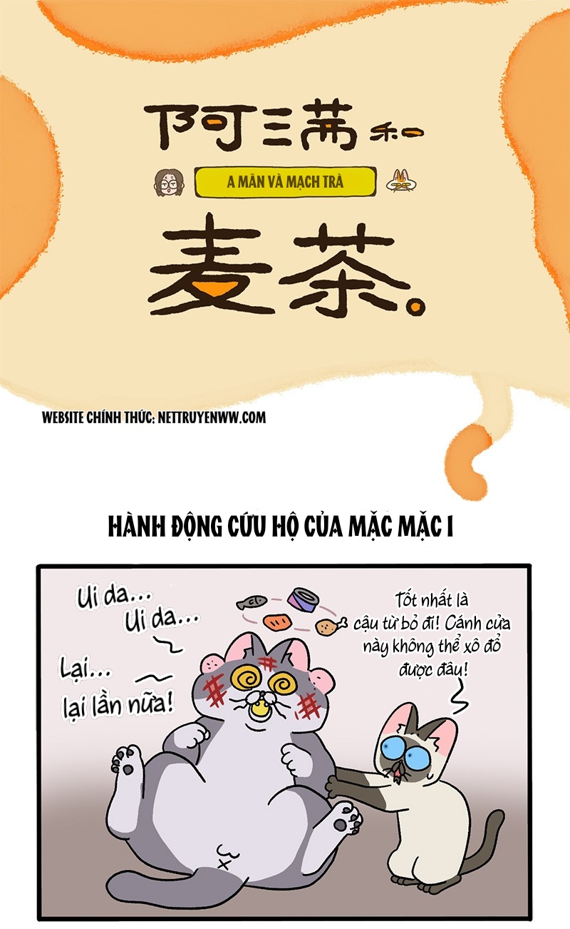 A Mãn Và Mạch Trà: Chapter 72