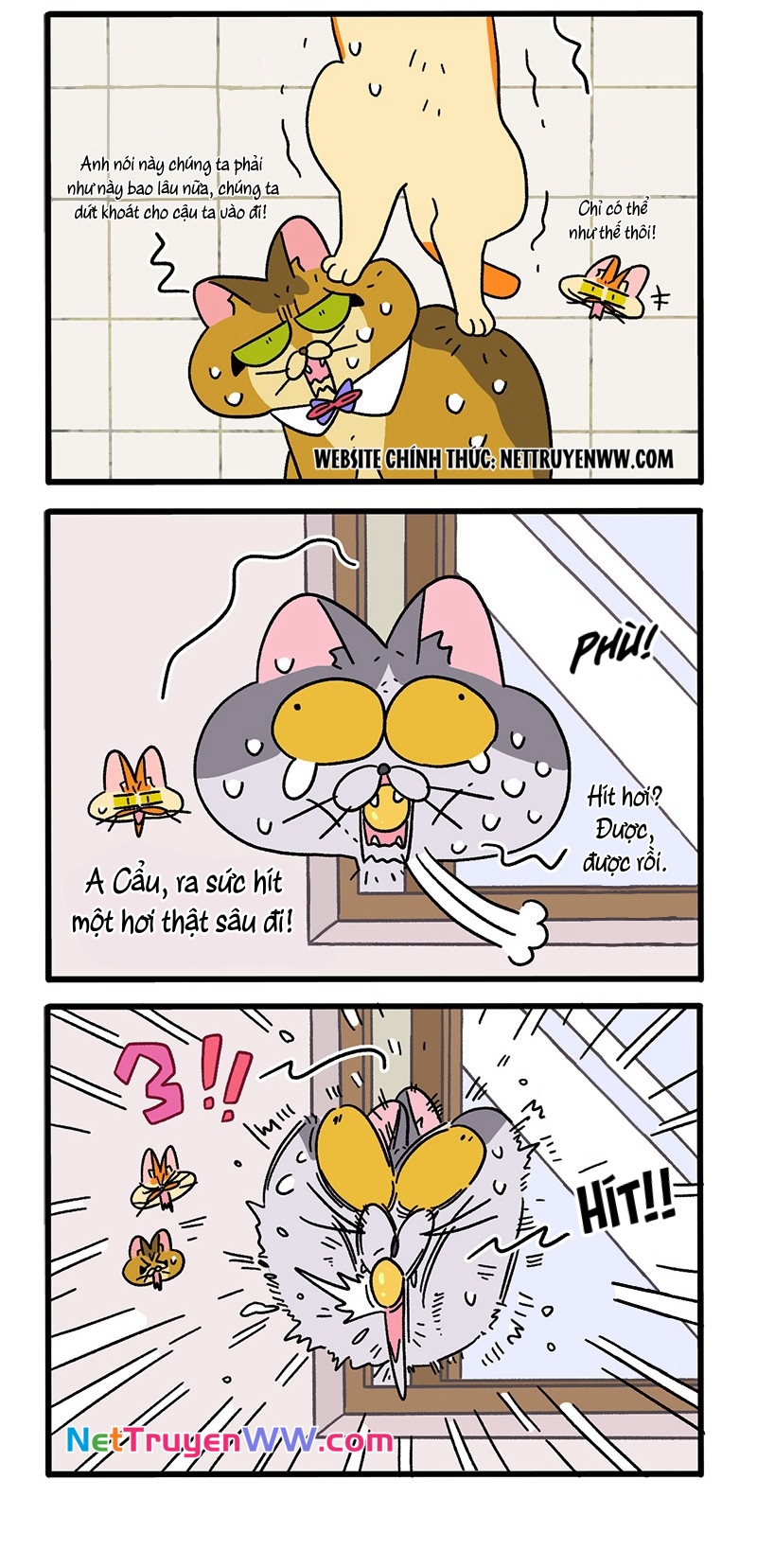 A Mãn Và Mạch Trà: Chapter 73.1