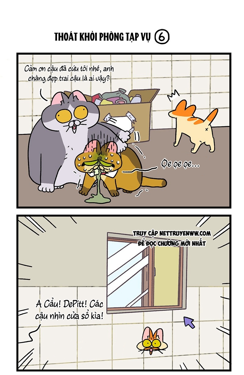 A Mãn Và Mạch Trà: Chapter 73.1