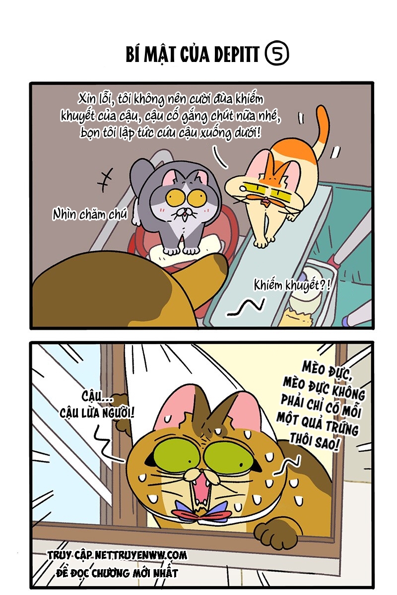 A Mãn Và Mạch Trà: Chapter 74.1