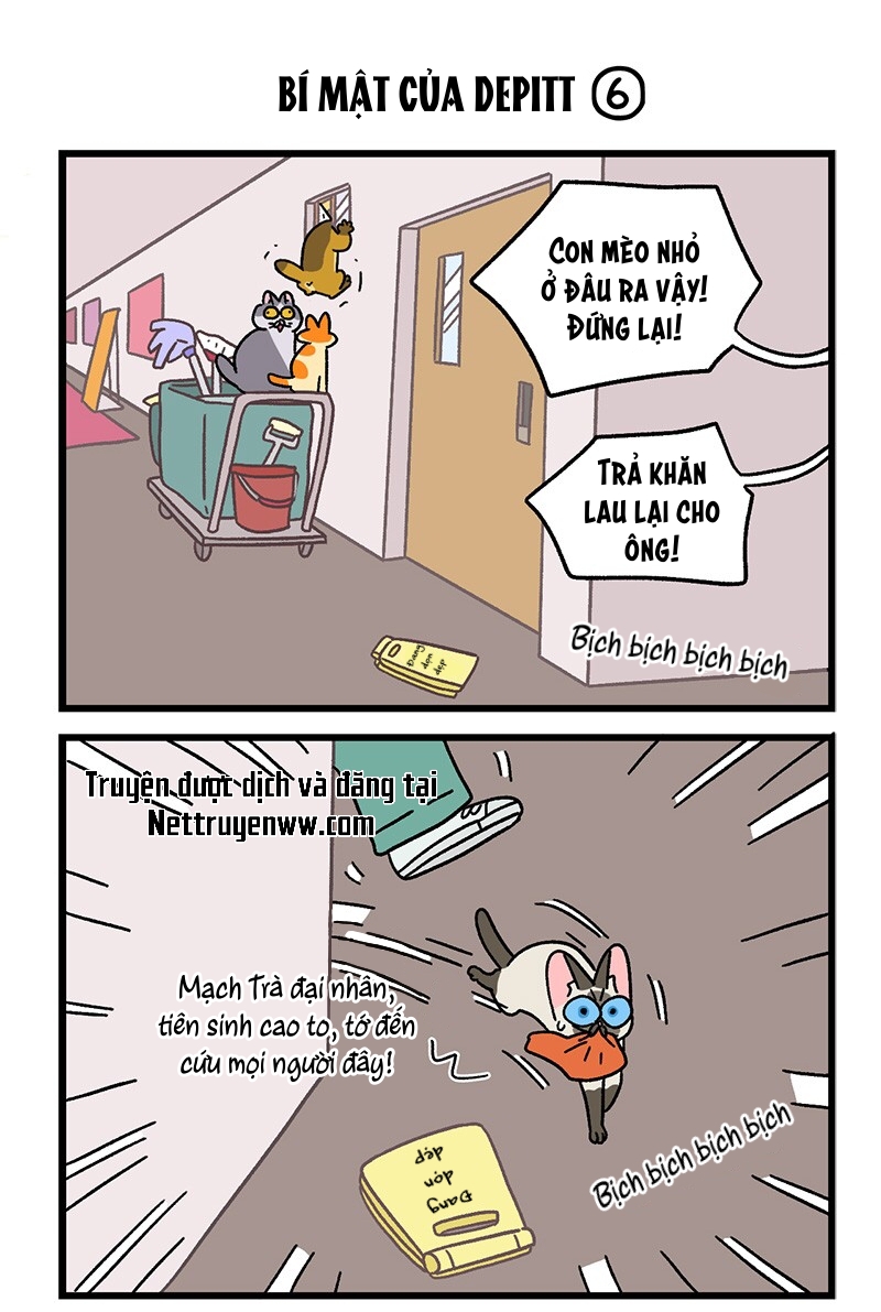 A Mãn Và Mạch Trà: Chapter 74.1