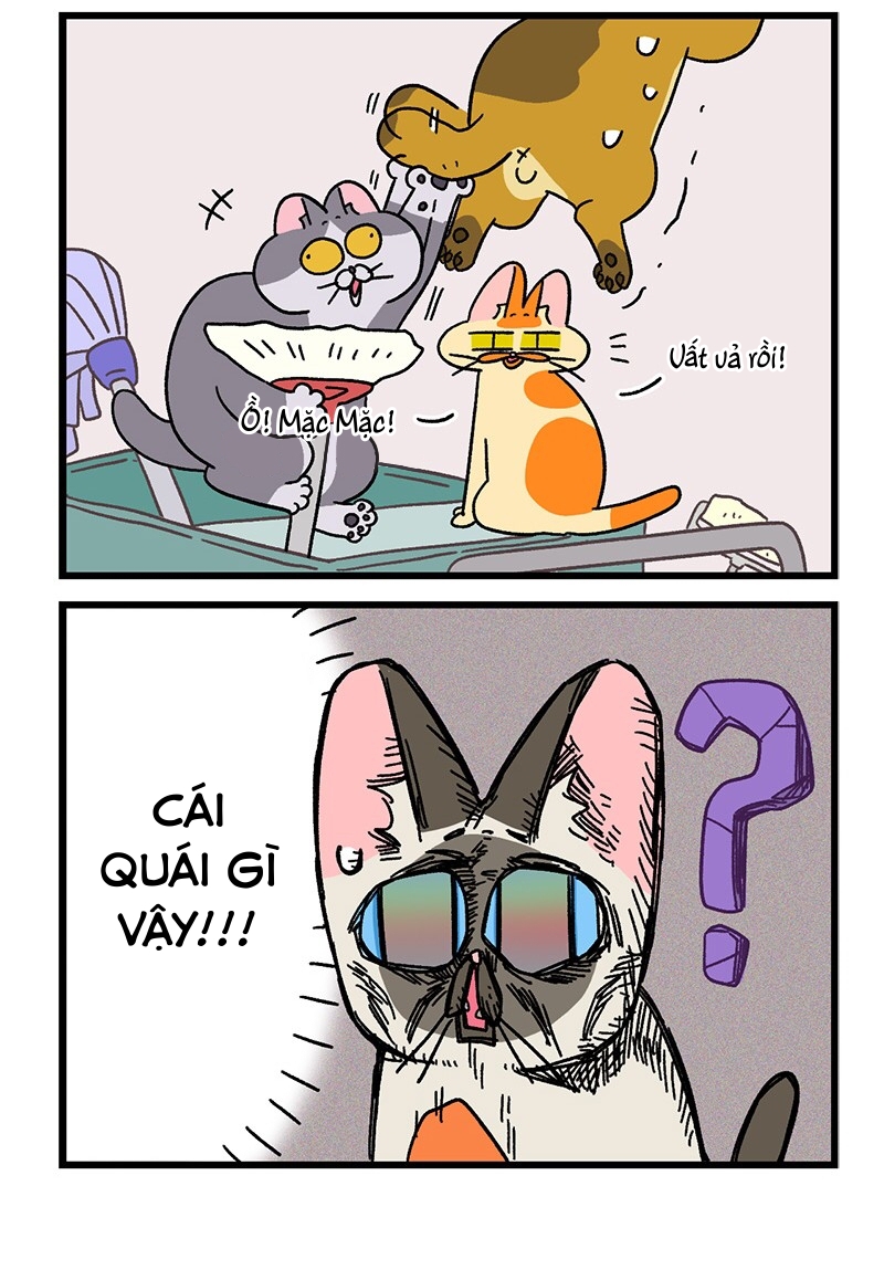 A Mãn Và Mạch Trà: Chapter 74.1