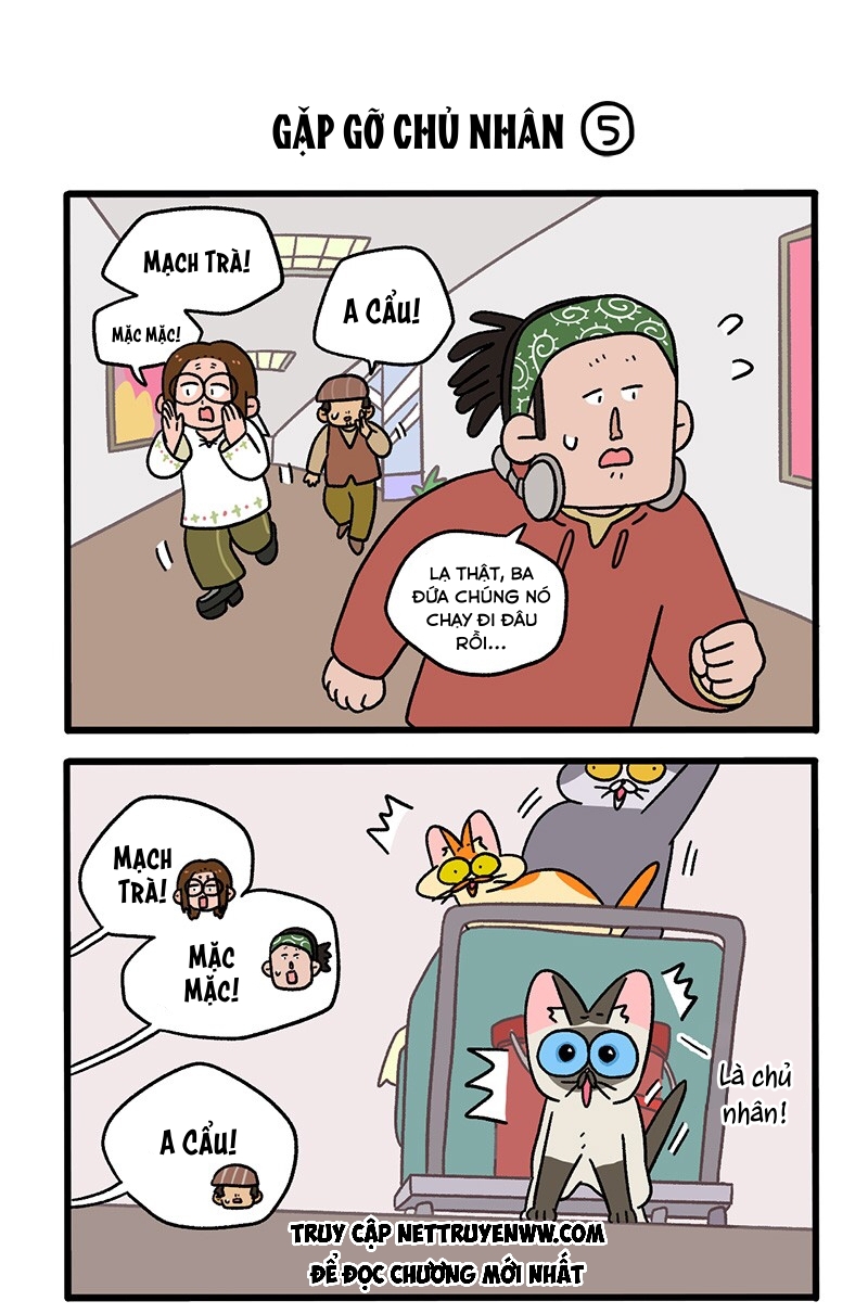 A Mãn Và Mạch Trà: Chapter 75.1