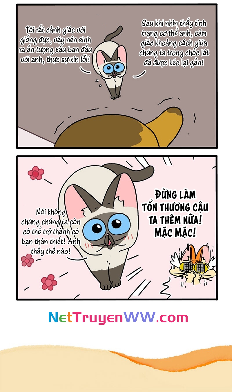 A Mãn Và Mạch Trà: Chapter 75