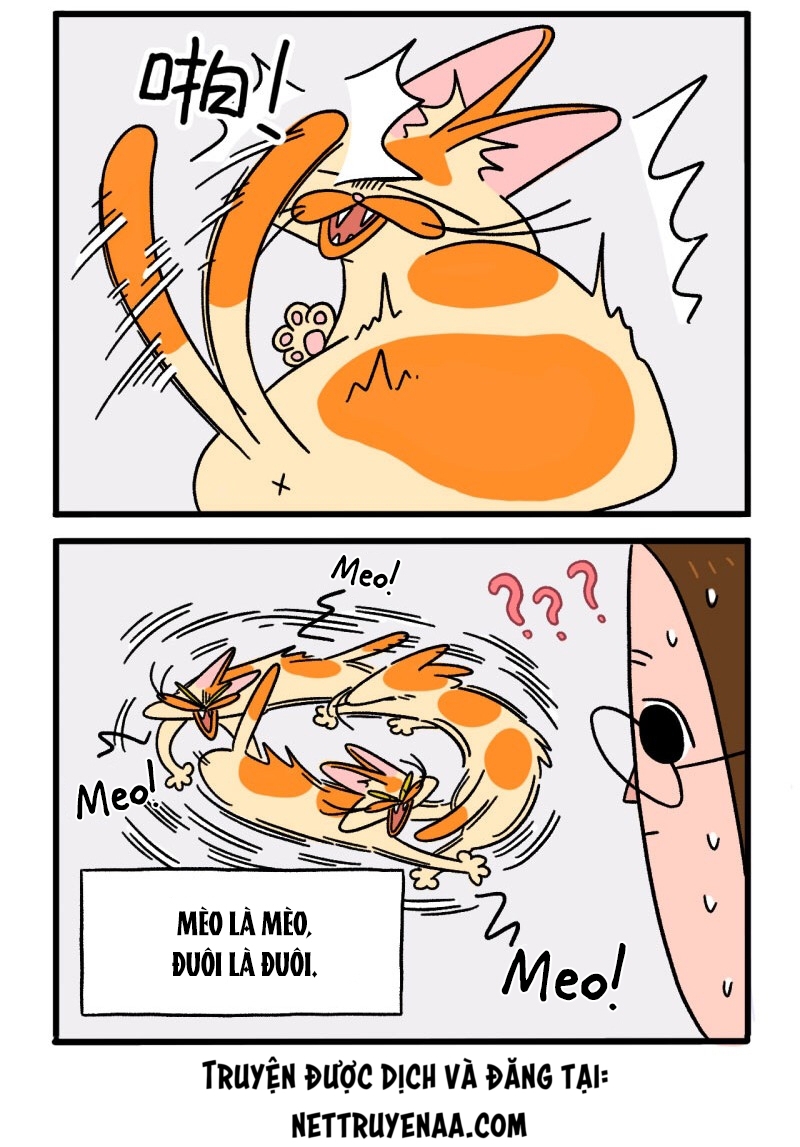 A Mãn Và Mạch Trà: Chapter 8