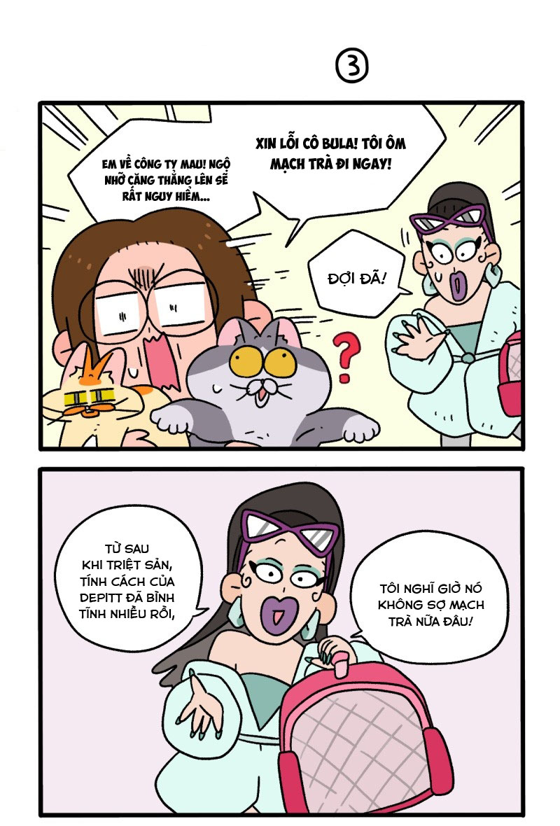 A Mãn Và Mạch Trà: Chapter 81