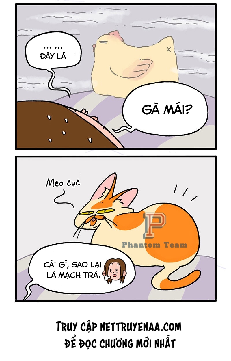 A Mãn Và Mạch Trà: Chapter 9