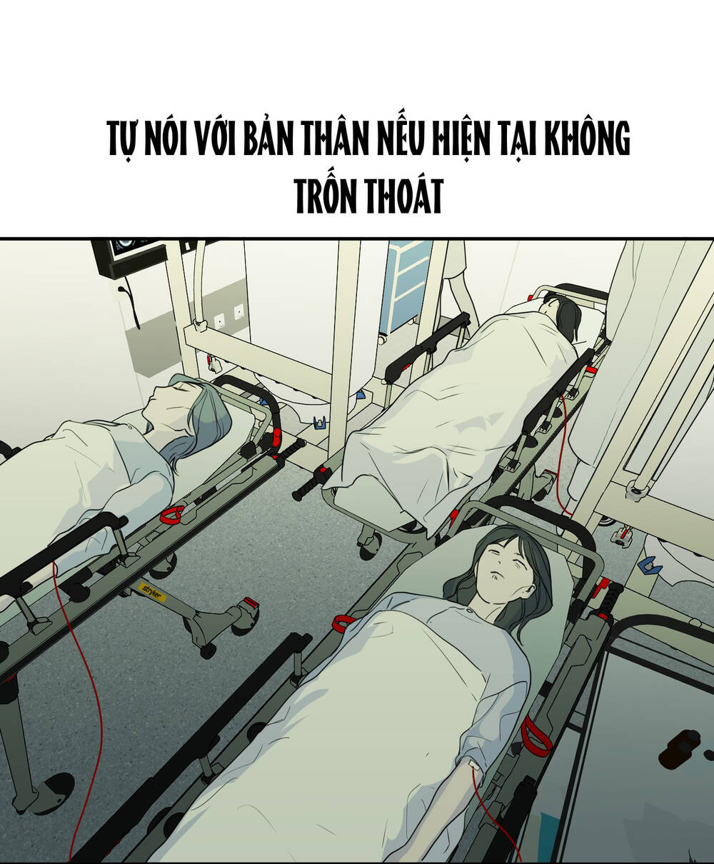 Ác Ma May Mắn: Chapter 44