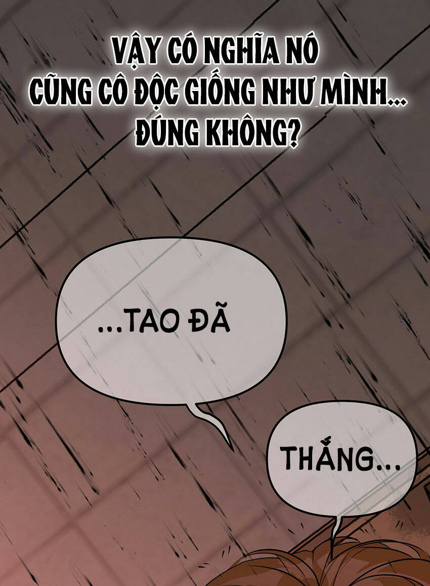 Ác Ma May Mắn: Chapter 65