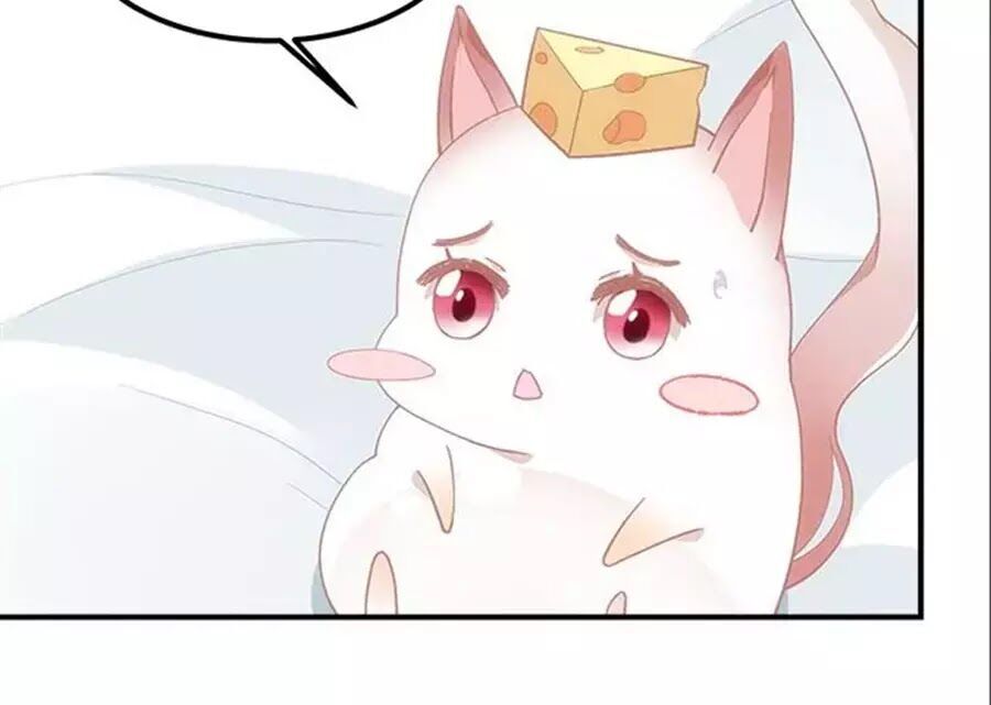 Clover: Chapter 54