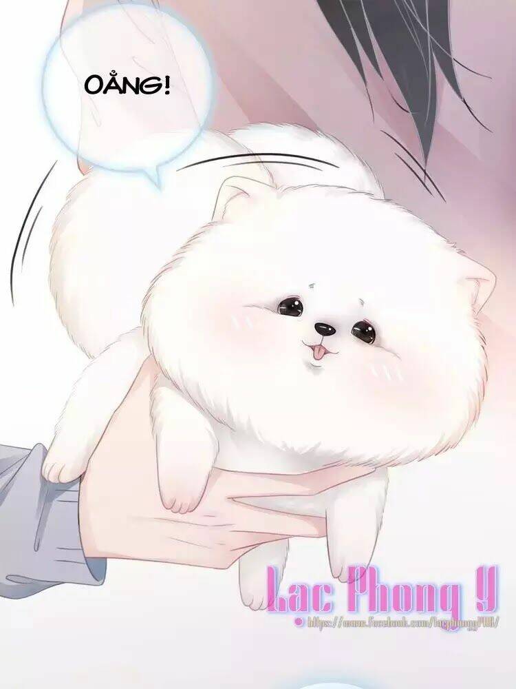 Sự Trở Lại Của Đệ Nhất Tông Sư: Chapter 8