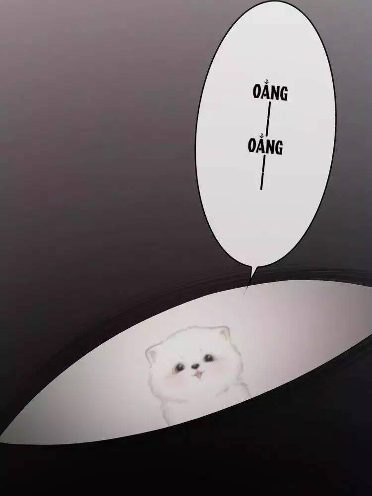 Sự Trở Lại Của Đệ Nhất Tông Sư: Chapter 8