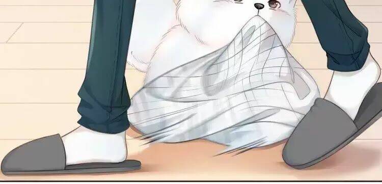 Sự Trở Lại Của Đệ Nhất Tông Sư: Chapter 8