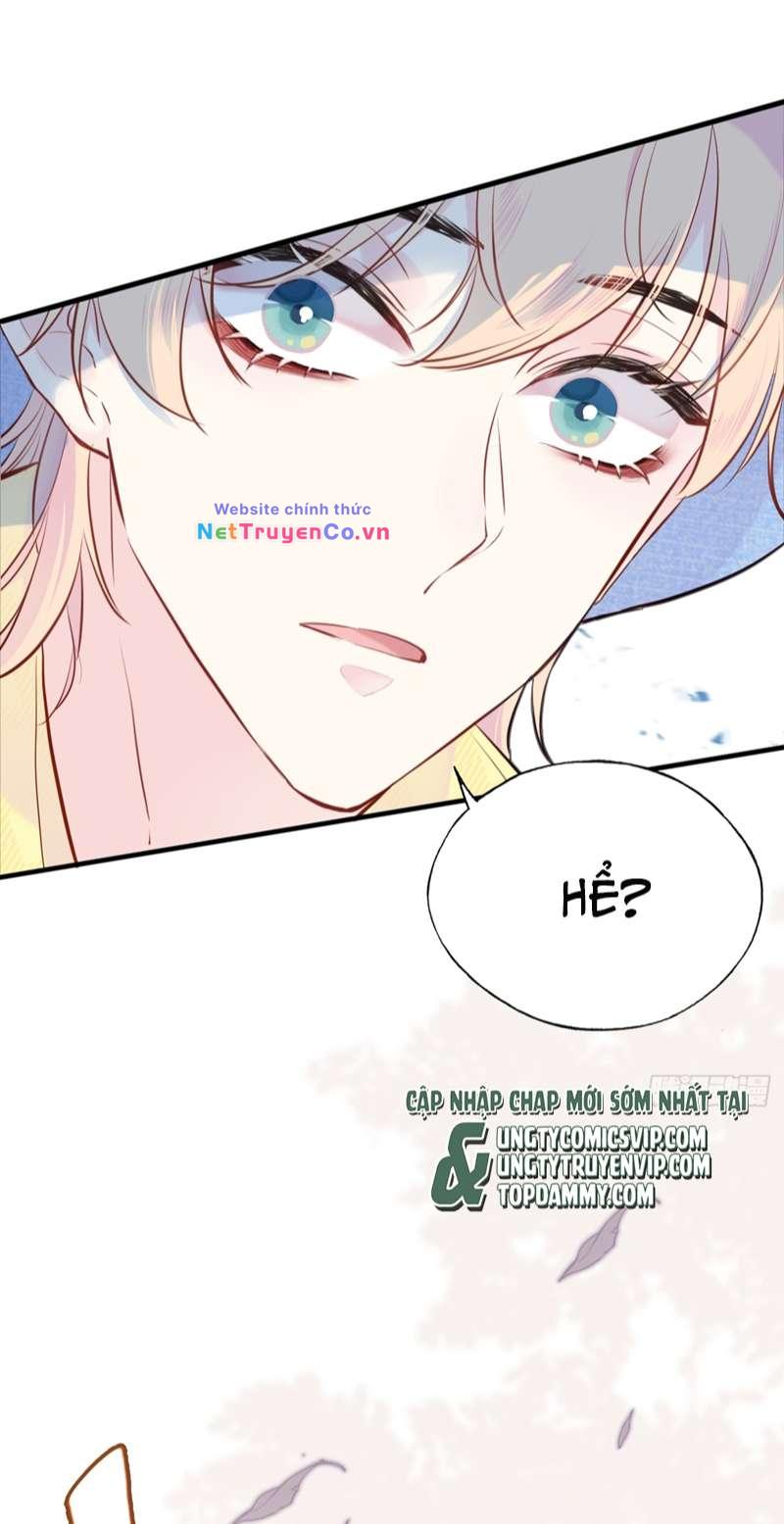 Anh Ấy Chưa Từng Rơi Xuống: Chapter 3
