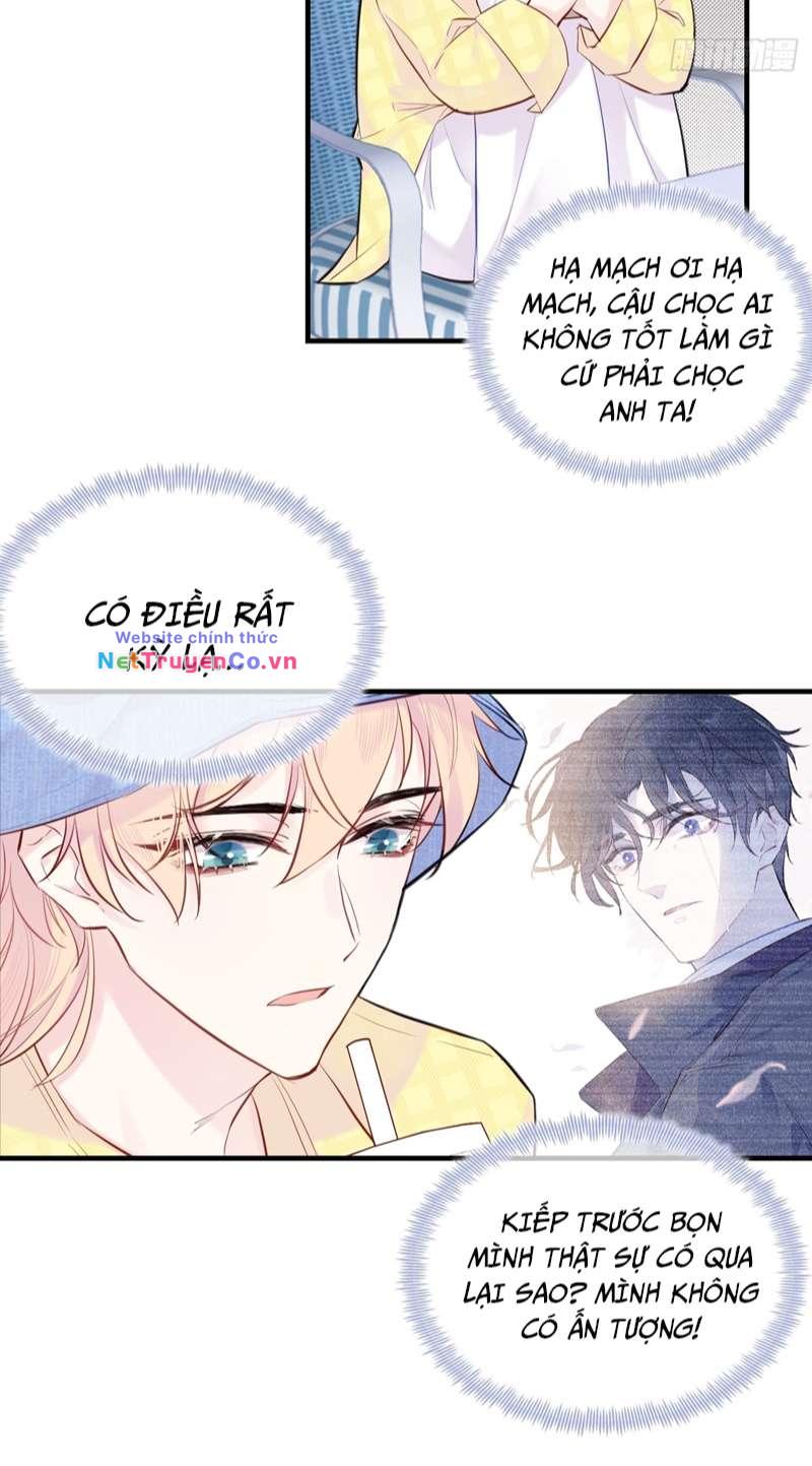 Anh Ấy Chưa Từng Rơi Xuống: Chapter 3