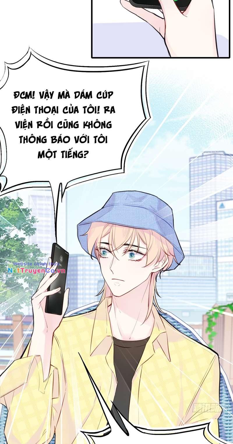 Anh Ấy Chưa Từng Rơi Xuống: Chapter 3