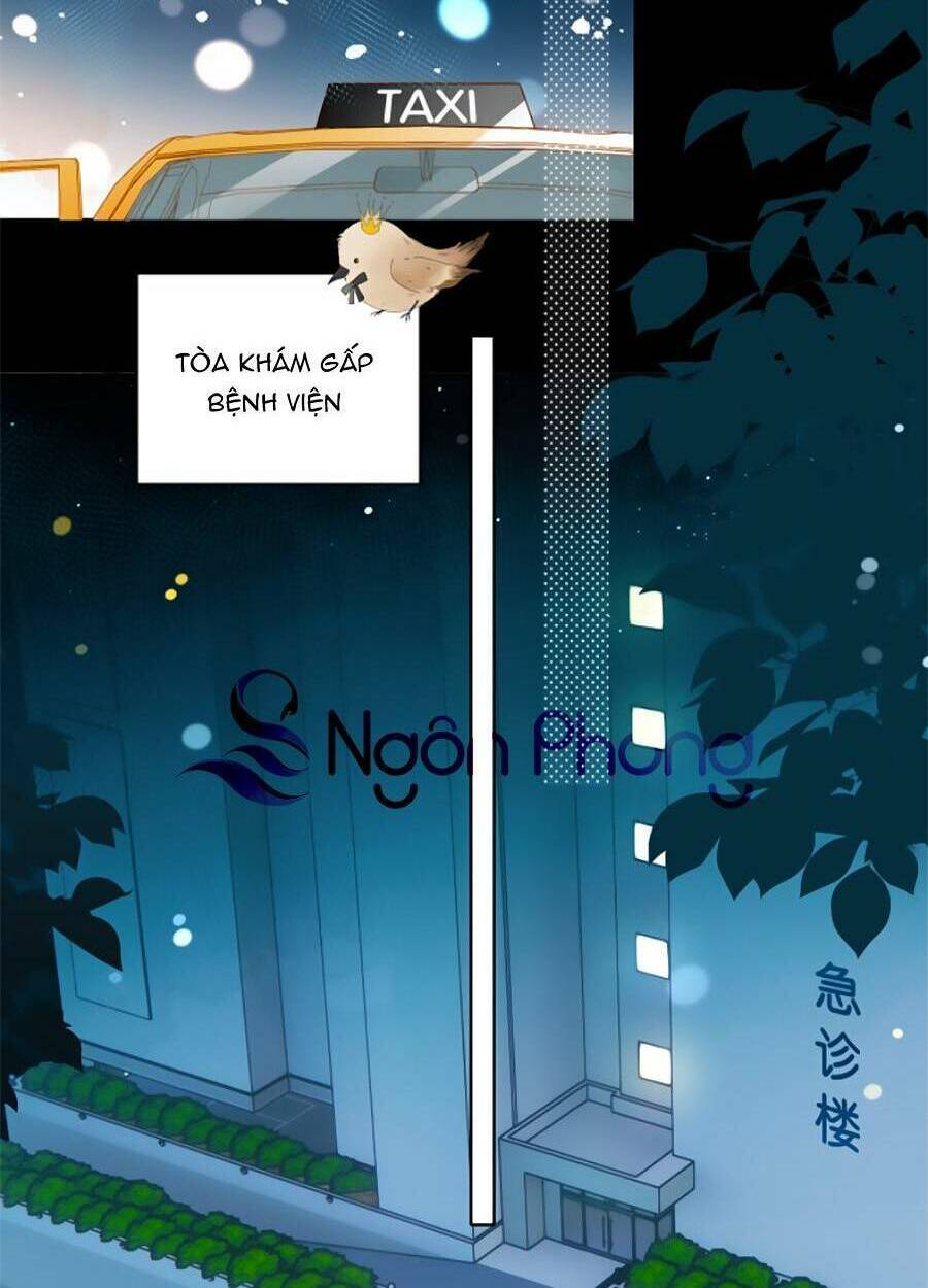 Anh Ấy Rất Hay Trêu Chọc Tôi: Chapter 47