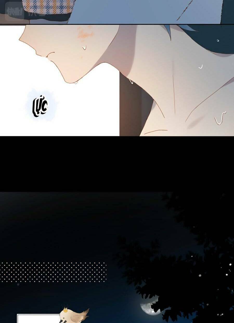 Anh Ấy Rất Hay Trêu Chọc Tôi: Chapter 52